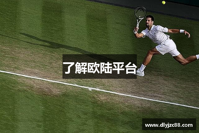 了解欧陆平台